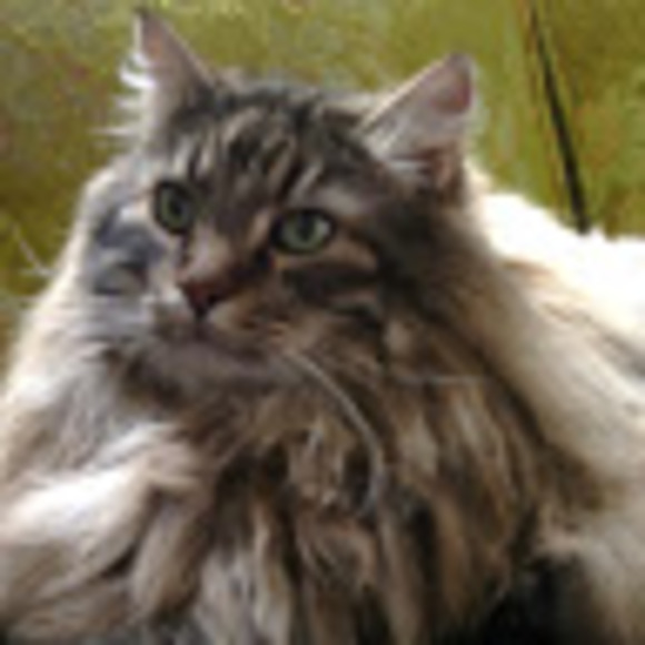 Meet your Posher, Zarko - Picture 1 of 1